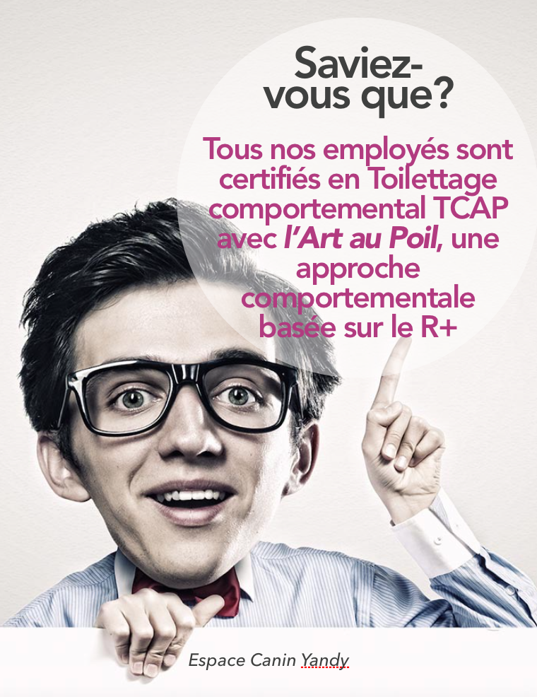 certifiés TCAP